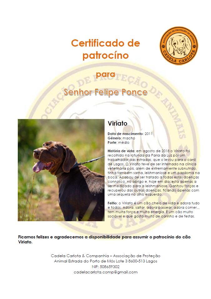 Preview of 'Exemplo De Certificado De Apadrinhamento'