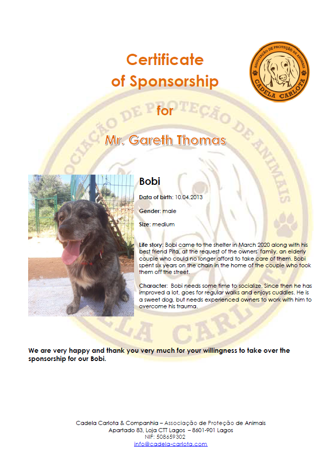 Certificate Bobi EN Certificate Bobi EN