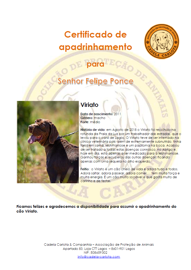 Certificate Viriato PT